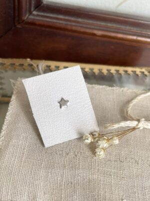 Pendiente Estrella Plata