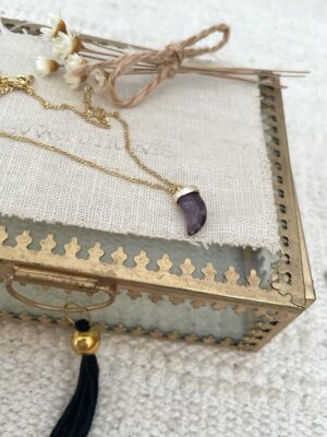 Collar Cuerno Amatista