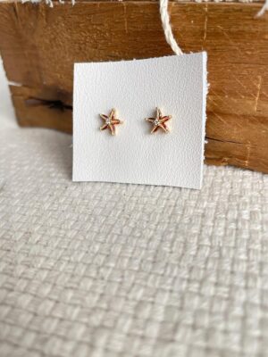 Pendiente Estrella Mar Oro